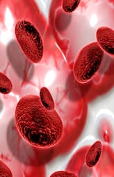 foods that naturally boost your blood circulation