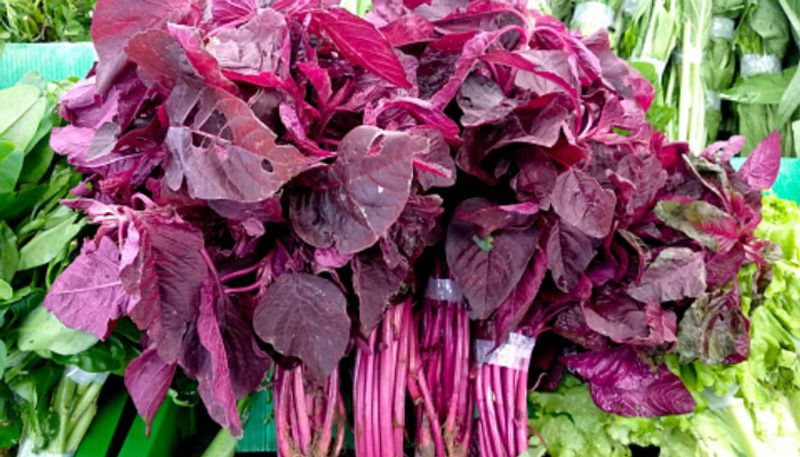 benefits of red spinach azn 