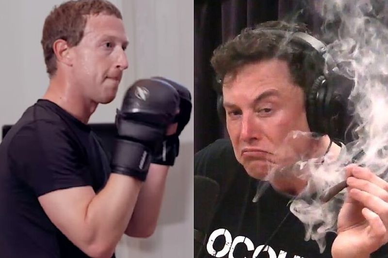 Elon Musk vs Mark Zuckerberg cage fight confirmed all you need to know vvk