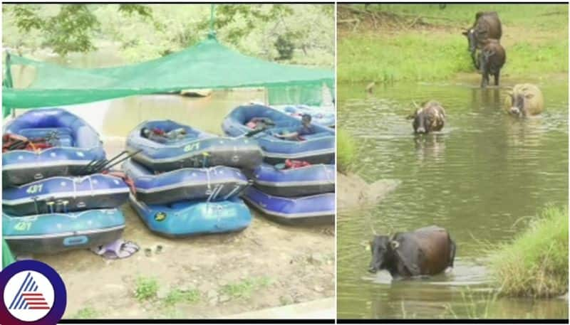 Karnataka Kaveri river has dried up in Kodagu Agriculture and tourism are facing difficulties sat