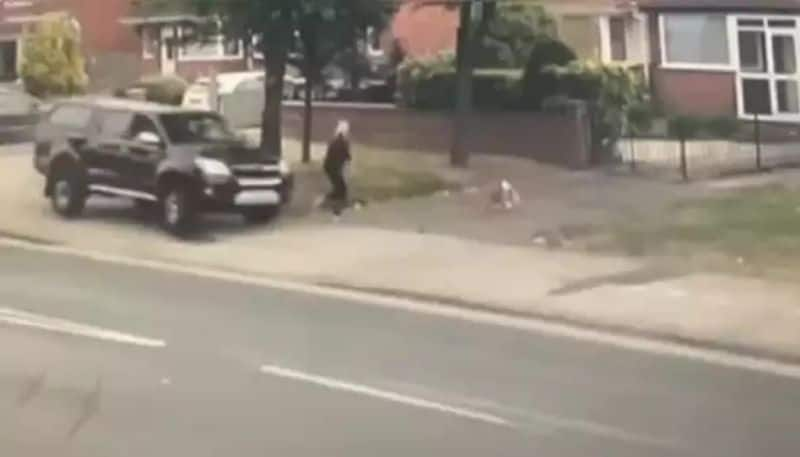 pet dog saves his owner from car accident hyp 