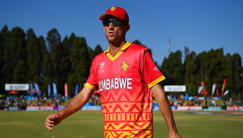 cricket Zimbabwean cricketer Sean Williams announces retirement from T20Is osf