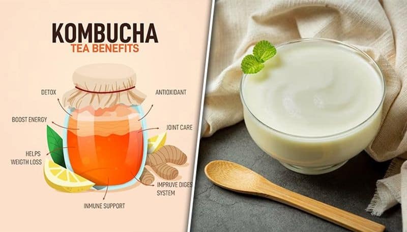 Kombucha to Yoghurt: 6 superfoods to have healthy gut daily vma