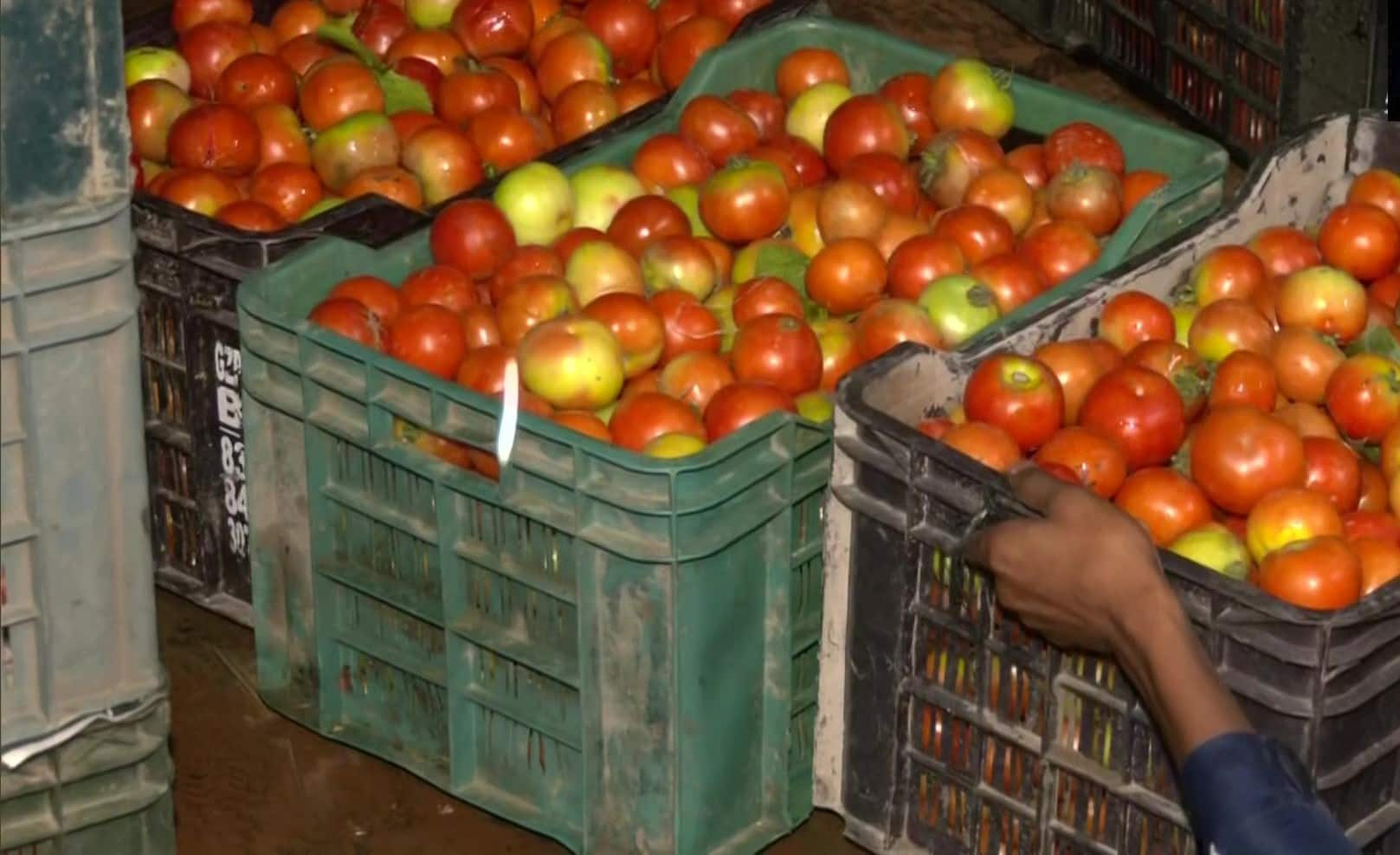 Tomato price Rs. 120! A visionary plan is needed! Anbumani Ramadoss!