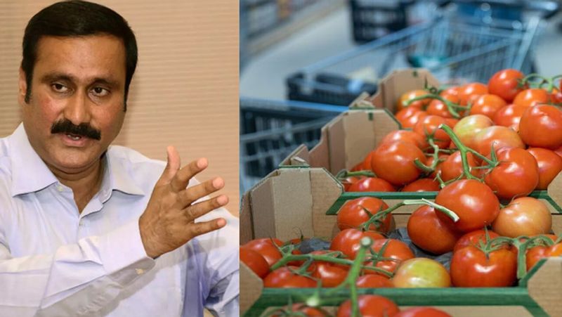 Tomato price Rs. 120! A visionary plan is needed! Anbumani Ramadoss!