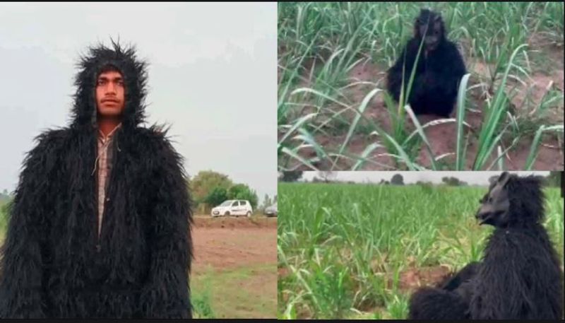 Uttar Pradesh Farmers disguised as bears to save their crops from monkeys in Lakhimpur Kheri akb