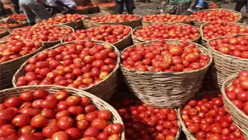 హైదరాబాద్: టమాటాలు పంచిపెడుతూ కూతురు భర్త్ డే.. ఓ తండ్రి వినూత్న సెలబ్రేషన్స్