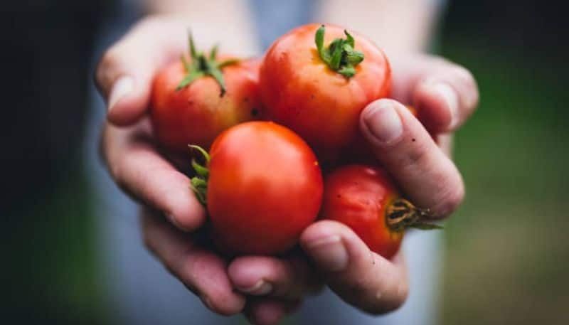 as tomato price increases we can use these vegetables and other ingredients instead of tomato hyp 