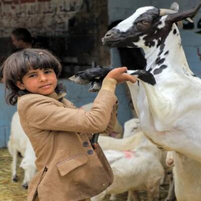 Telugu news live updates: Bakrid Holidays - తెలంగాణ, ఆంధ్ర ప్రదేశ్ రాష్ట్రాల్లో బక్రీద్ సెలవులు మూడ్రోజులా?