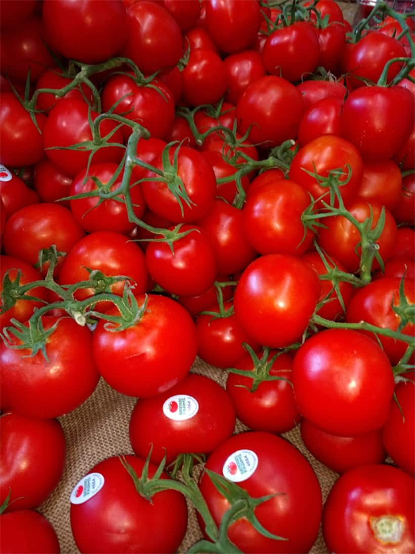 As prices skyrocket, thieves steal tomatoes worth lakhs from Karnataka farmer's farm