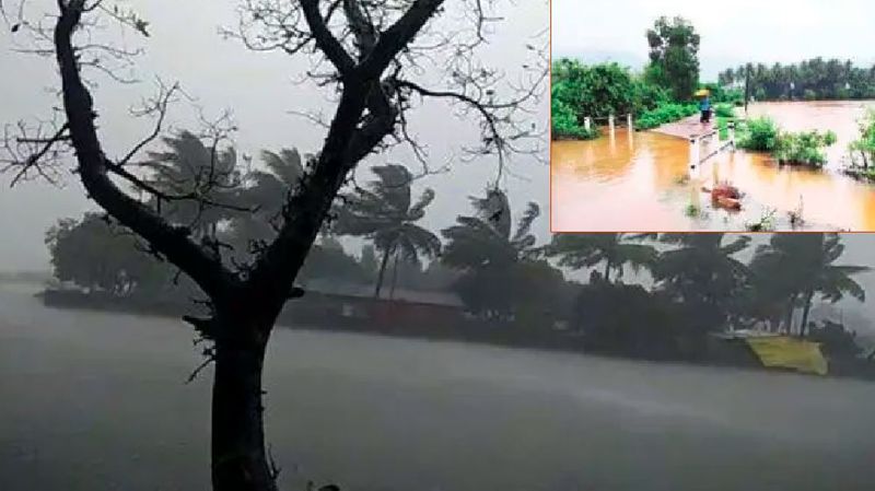 Karnataka monsoon heavy rain in karwar Flooded fields at uttara kannada rav 