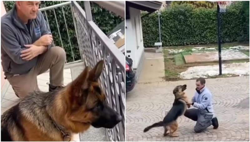 pet dog meet its owner after three years watch the warm video hyp