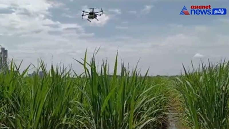 Spraying medicine by drone! - Participating farmers in process briefing meetings!