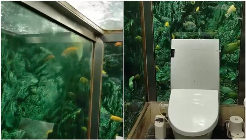 video in which we can see a toilet looks like an aquarium hyp