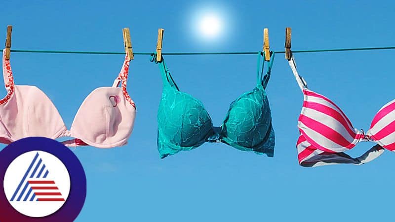 Bra Washing Tips to maintain hygiene and long shelf life roo