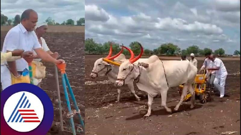 MLA Sharanu Salagara who sowed seeds in the farmer's field in ghotal a village at bidar rav