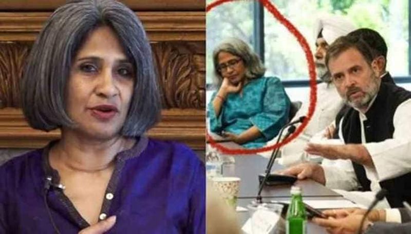 Who Is Sunita Viswanath And What is The Controversy Surrounding Her Meeting With Rahul Gandhi In US?