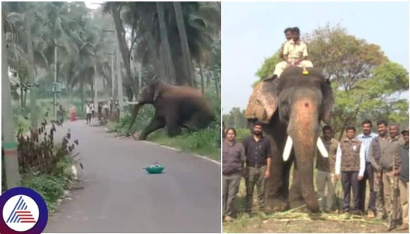 Karnataka forest department give training to Ramanagara Youths for control elephants sat