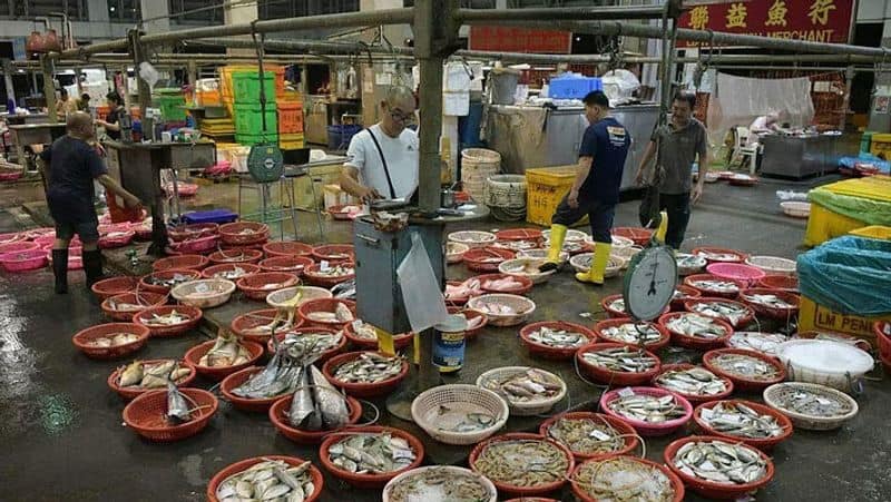 singapores senoko fishing port closes