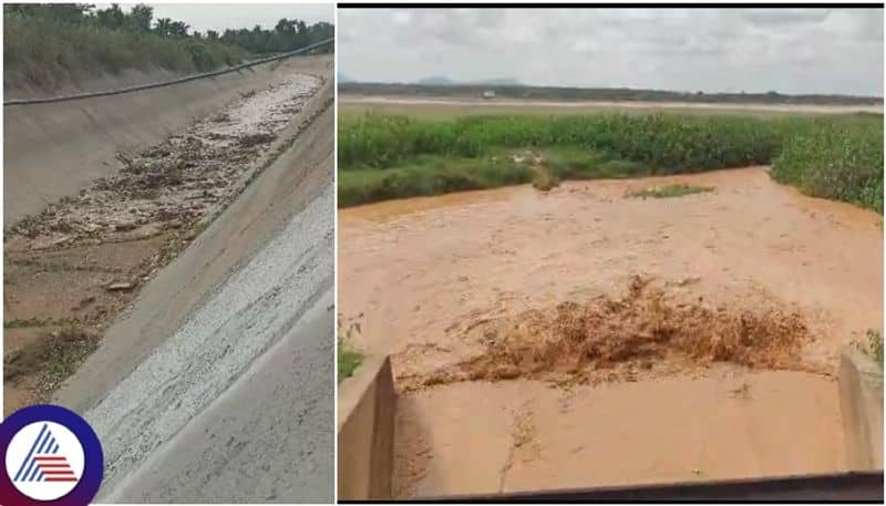 Hemavati river water reaches Tumakur budaganahalli lake Worry away from drinking water sat