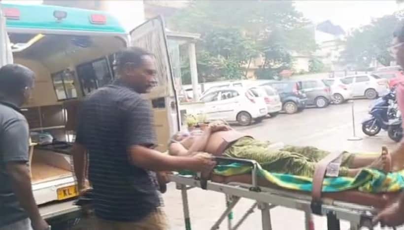 Kerala: Wild elephant strikes two men during morning stroll; One left with rib injury
