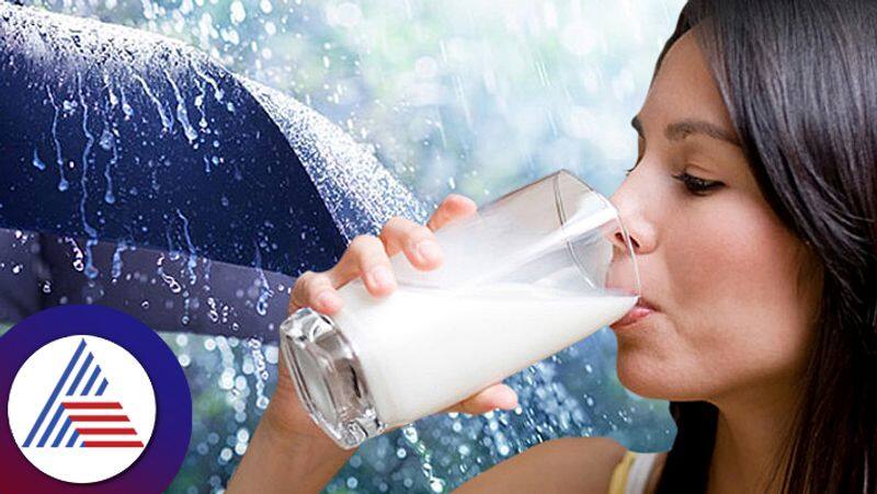 What happened if you drink milk during rainy season pav