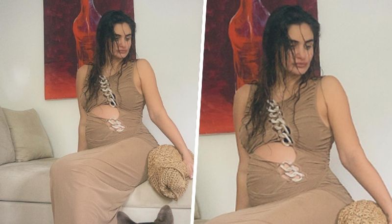 Arjun Rampal's girlfriend Gabriella Demetriades shows off baby bump In expensive maxi dress, know its cost! ADC