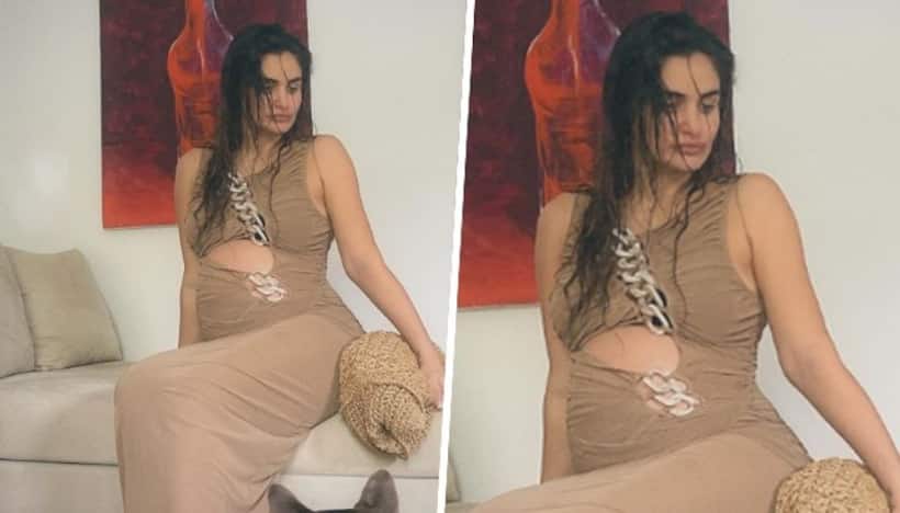 Arjun Rampal's girlfriend Gabriella Demetriades shows off baby bump in expensive maxi dress, know its cost!