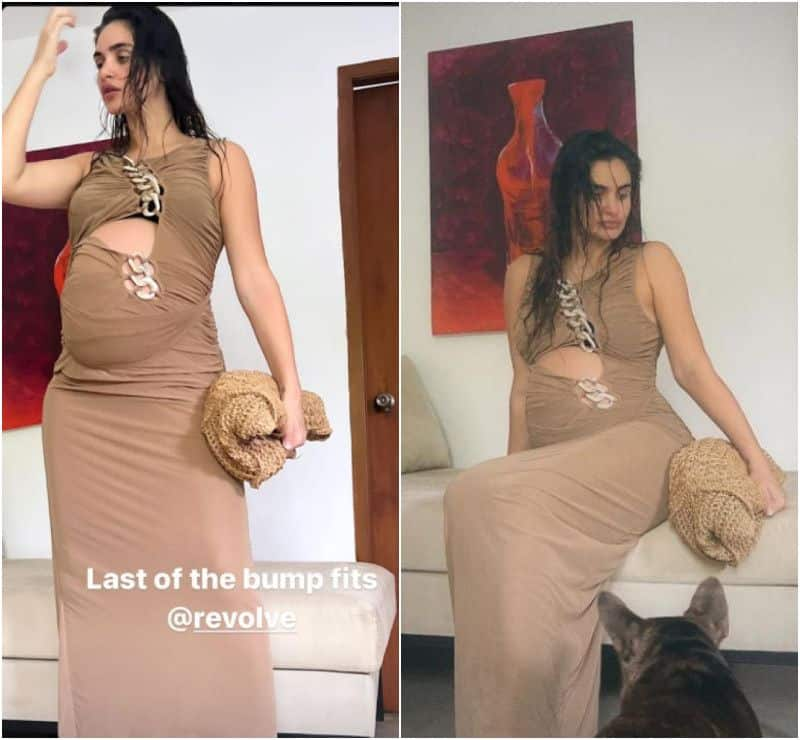 Arjun Rampal's girlfriend Gabriella Demetriades shows off baby bump In expensive maxi dress, know its cost! ADC