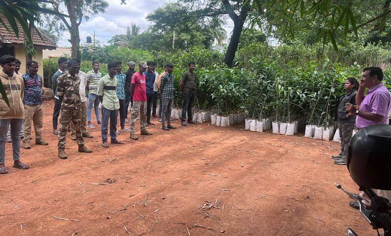 Elephant Task Force for Wild Elephant Poaching at Ramanagara District gvd