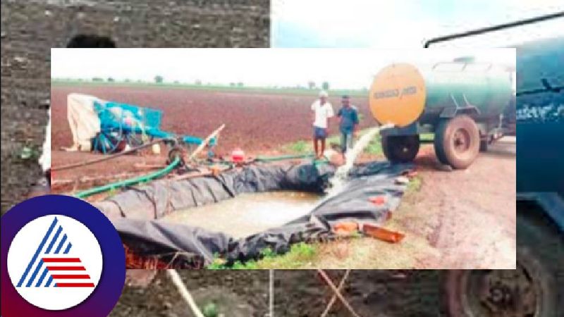 lack of rain farmers used tanker water for save crops at haveri district rav