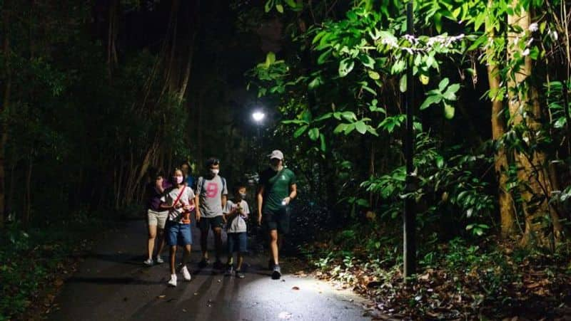 6 things to know before taking a night walk in Singapore's parks