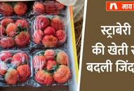 Success story of satyendra verma of barabanki uttar Pradesh earning in lakhs from strawberry farming zrua