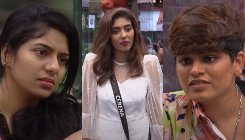 anjuz rosh about cerena to reneesha in bigg boss malayalam season 5 nsn