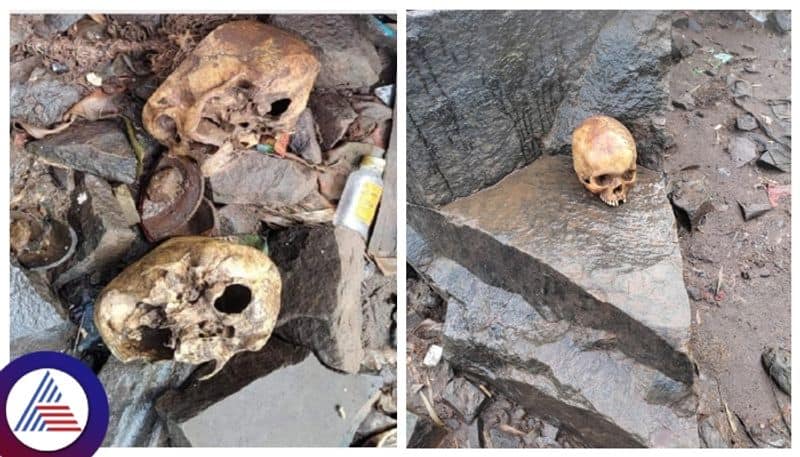 Human Skull Found On River bank In Kolhapur  gow