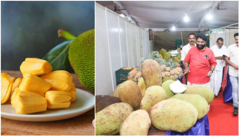 ananthapuri jackfruit festival starts from today vkv