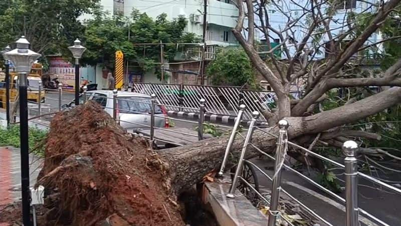 Puducherry witness heavy rain normal life affected