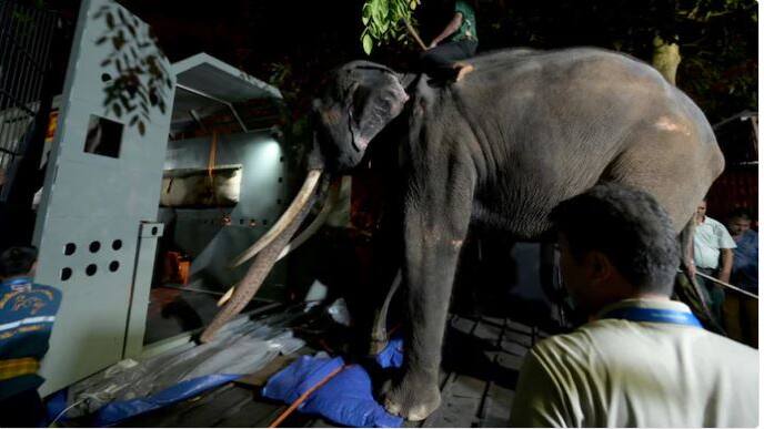thailand jumbo