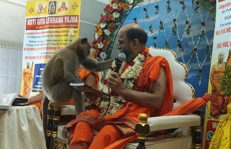 A monkey holding the mic in Puthige Sri hand at Udupi Video goes viral gvd