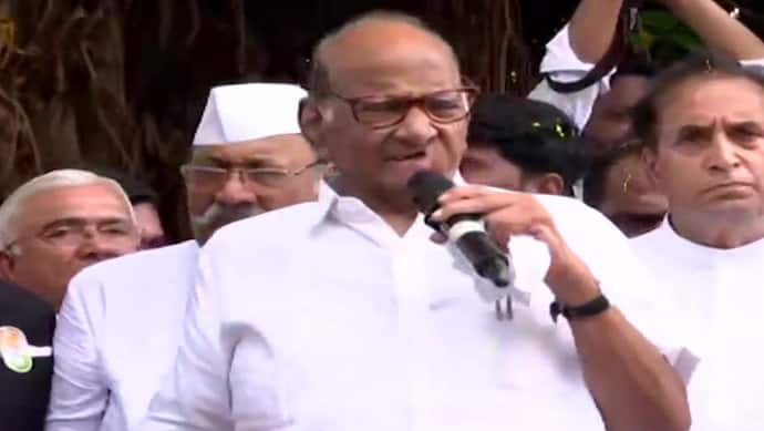 sharad pawar rally