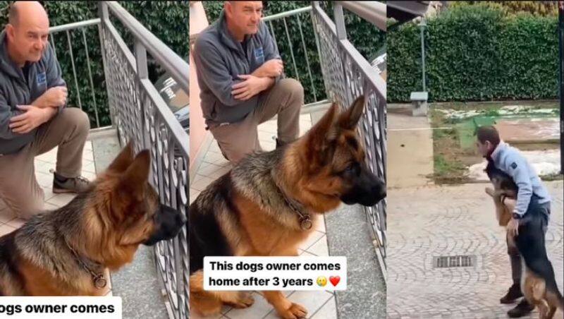 The owner came after three years See the joy of the dog Video viral akb