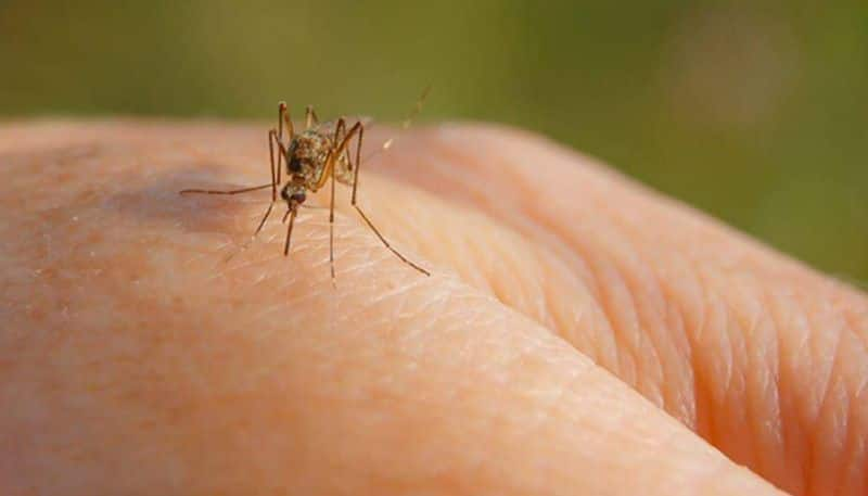 Skeeter Syndrome: A life-threatening mosquito bite allergy.. What are the symptoms? Who are at risk? Rya