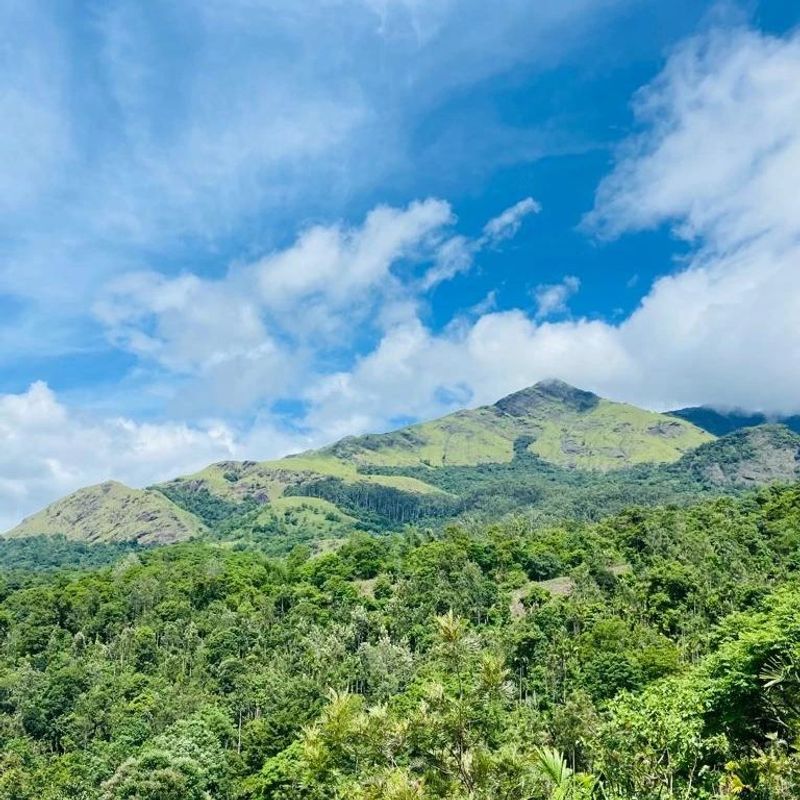 Munnar to Ponmudi: 10 hill stations that Kerala boasts off ATG EAI