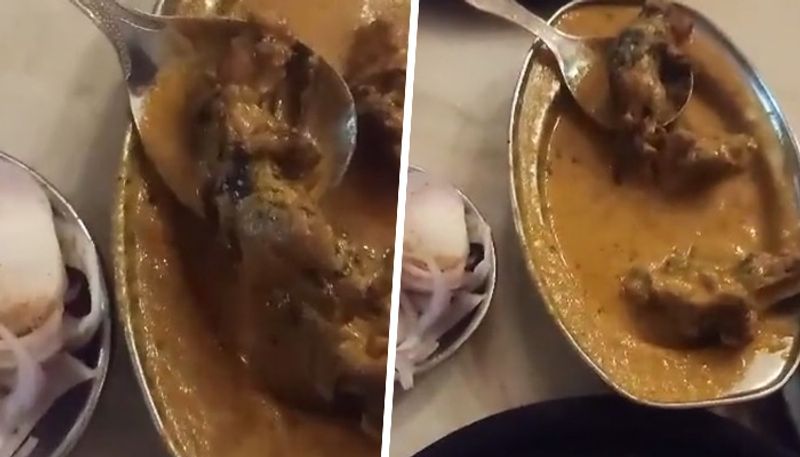 WATCH Ludhiana man posts video of dead rat in restaurant food; leaves netizens shocked snt