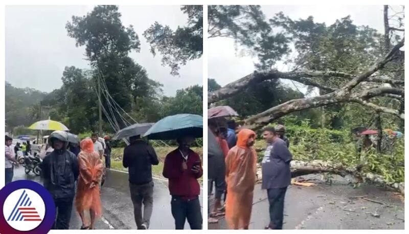 madikeri mysuru highway blocked due to Heavy rains in Kodagu karnataka news gow