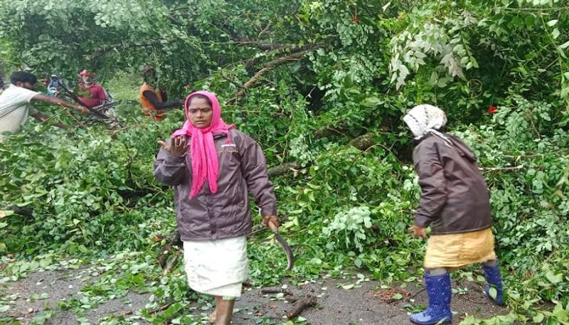 Next Three Days Likely Heavy Rain in Chikkamagaluru grg