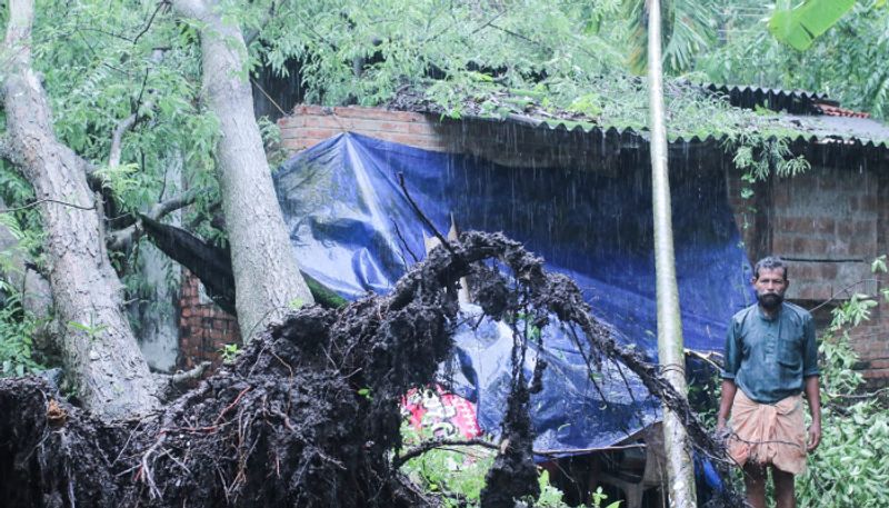 Kerala rain update heavy rain and wind caused widespread damage in alappuzha vkv