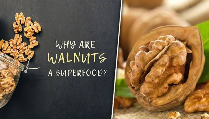 Cognitive Booster to Blood Sugar balancer: 7 reasons why WALNUT is a super food