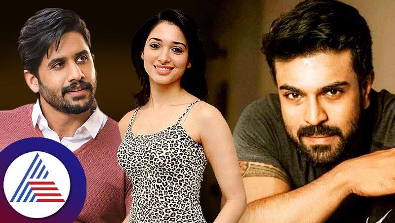 Tamannaah Bhatia calls Ram Charan Naga Chaitanya well behaved  shares experience working  with South stars rao