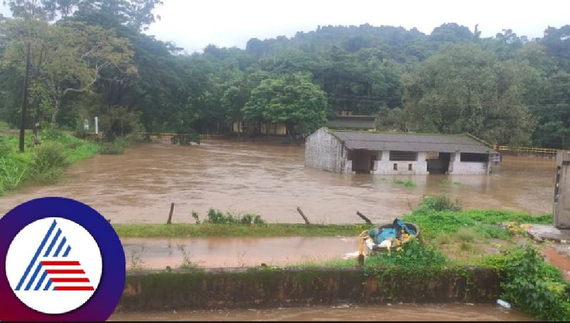 Continued rain in Chikmagalur of Malenadu district IMD forecast  rav